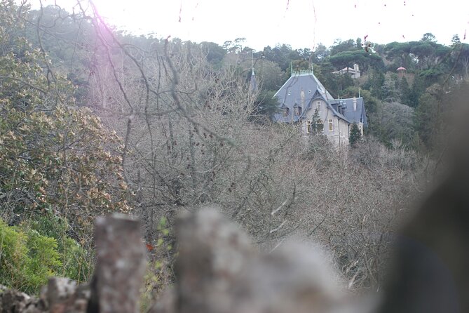 Private 1 hour and half Sintra Guided Tour - Ancient Duck Houses at Park of Pena: A Calmer Pause in the Gardens
