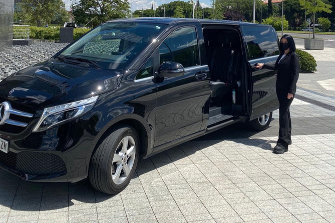Private 4-hour city tour of Lisbon with driver & official guide w/ Hotel pick up - Praca Dom Pedro IV (Rossio Square): a quick downtown “anchor” moment
