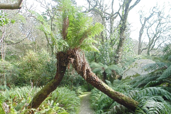 Private Day Tour from the Centre to the Highest Point in Sintra. - High Cross to the Eastern Park: Chalet of the Countess Included