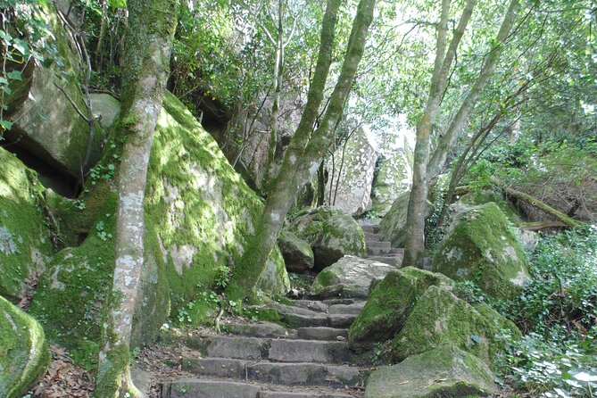 Private Day Tour from the Centre to the Highest Point in Sintra. - Price and Value: What $116.36 Buys You in Real Time