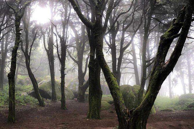 Private Evening Walk Inside the Forest: "Sintra Mountains Inbetween Wolves" - No monument interiors: you’re buying stories, not tickets