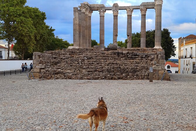 Private Évora Tour - Megaliths, Historical Center and Cork Region - Lunch Timing: A Realistic Way to Handle Food