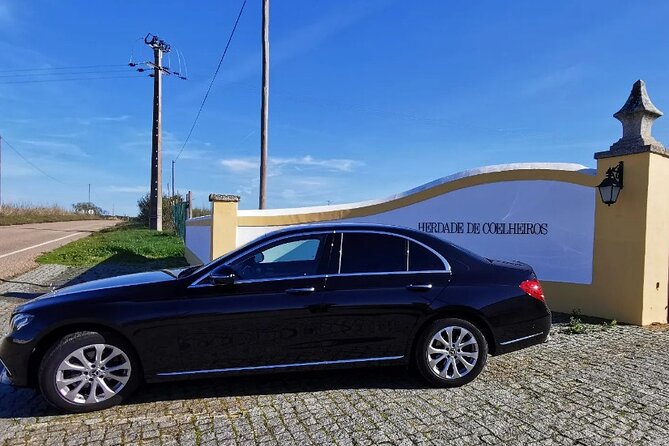 Private Évora Tour With Wine Experience and Wine Tasting - Timing, Comfort, and the Small Details That Actually Matter