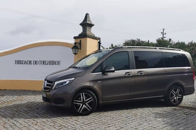 Private Évora Tour With Wine Experience and Wine Tasting - Driver Drop-Off vs Real Guidance: A Practical Watch-Out