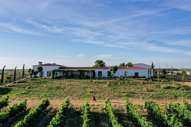 Private Full-Day Alentejo Wine Tour - Key points before you go