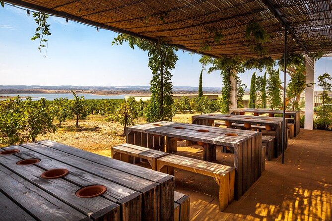 Private Full-Day Alentejo Wine Tour - Lisbon-to-Évora day plan: what the timing feels like