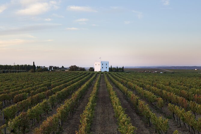 Private Full-Day Alentejo Wine Tour - Herdade do Esporão: 750 hectares, 3 wines, guided architecture