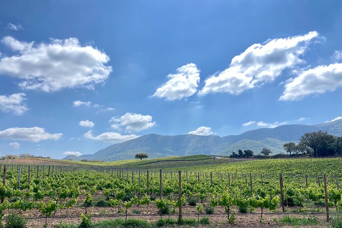 Private Full-Day Wine Tour from Lisbon with Tastings - Quinta do Alcube: Winery Views Where Mountains Meet the Atlantic