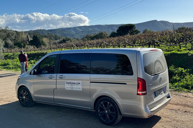 Private Full-Day Wine Tour from Lisbon with Tastings - Jose Maria de Fonseca: A Family Winery Open Since 1834