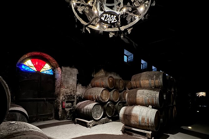 Private Full-Day Wine Tour from Lisbon with Tastings - Premium Vehicle and Real Comfort on an 8-9 Hour Route