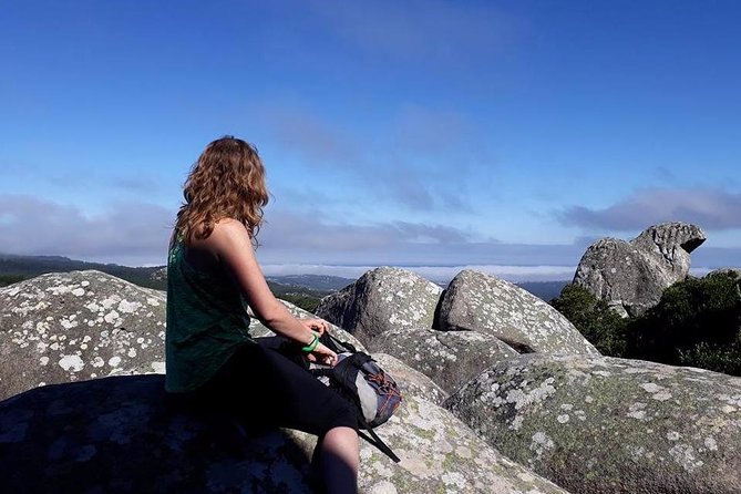 Private Guided Hike in Sintra-Cascais National Park, Lisbon - Getting there: public transit is close, but you start yourself