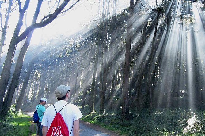 Private Guided Hike in Sintra-Cascais National Park, Lisbon - What to bring (since food and drinks aren’t included)