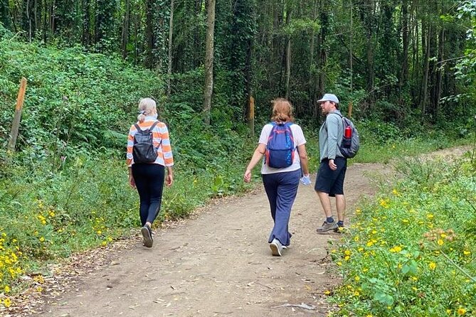 Private Half Day Hiking in Sintra-Cascais Natural Park - Key points before you go