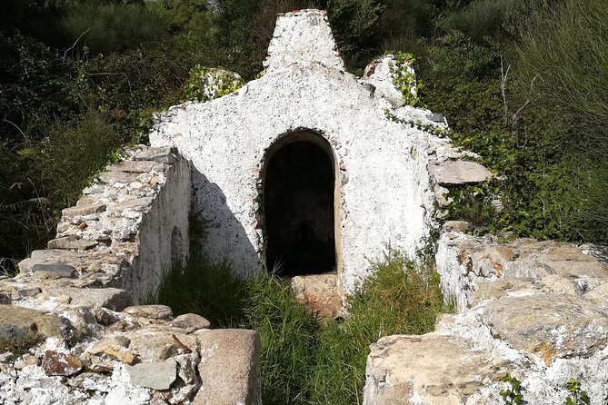 Private Half Day Hiking in Sintra-Cascais Natural Park - The guide factor: clear explanations, wildlife spotting, and Pedro’s style