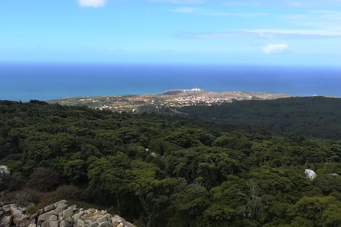 Private Half Day Hiking in Sintra-Cascais Natural Park - Pickup, timing, and weather: how to prep for a smooth morning