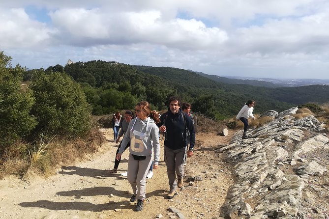 Private Half Day Hiking in Sintra-Cascais Natural Park - Cresmina Dunes: sand walking, quiet coastal air, and a coffee break