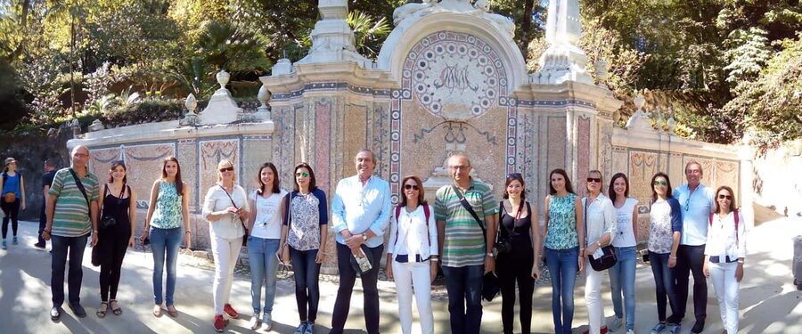 Private Half Day tour Sintra Pena Palace & Initiantion Well - The drive into Sintra: orientation and scenic views