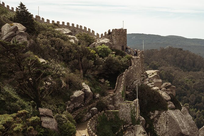 Private Half-Day Tour to Sintra (Pena Palace & Moorish Castle) - Price and value: what you’re paying for at about $139