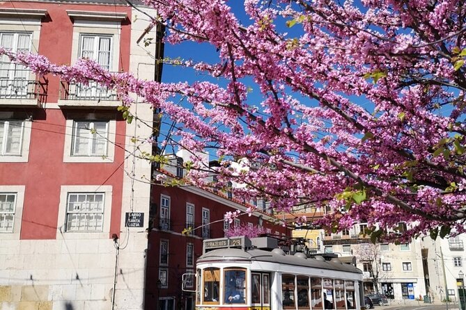 Private Highlights of Lisbon HD Tour - How Marta Guides: Stories That Keep the Walk Interesting