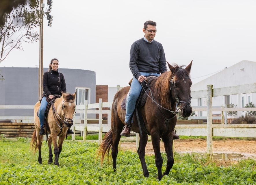PRIVATE Horseback Riding On The Beach - Key highlights you’ll actually feel