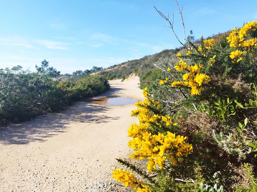 Private Jeep tour to Espichel Mysteries and Wild Beaches - Praia das Bicas: a short break with big Atlantic energy
