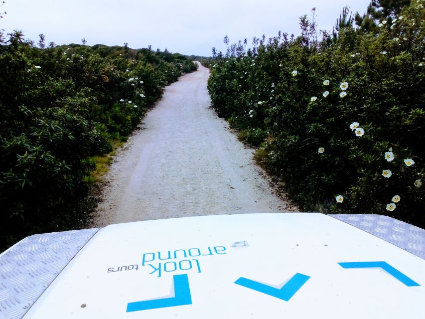 Private Jeep tour to Espichel Mysteries and Wild Beaches - Dinosaur tracks on the north escarpment: 150 million-year clues