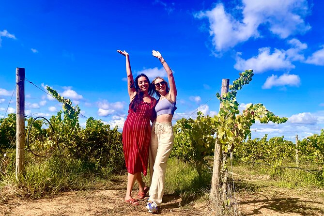 Private Lisbon-Arrábida Wine Tour: 3 Wineries, Coast & Heritage - Price and logistics: what you’re really paying for