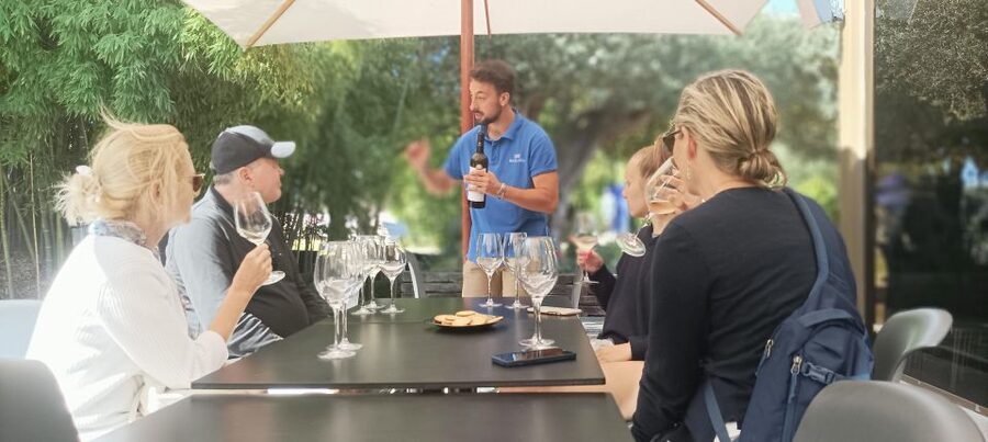 Private Lisbon Arrábida Wine Tour: Culture, Scenery & Wines - Key things to know before you go