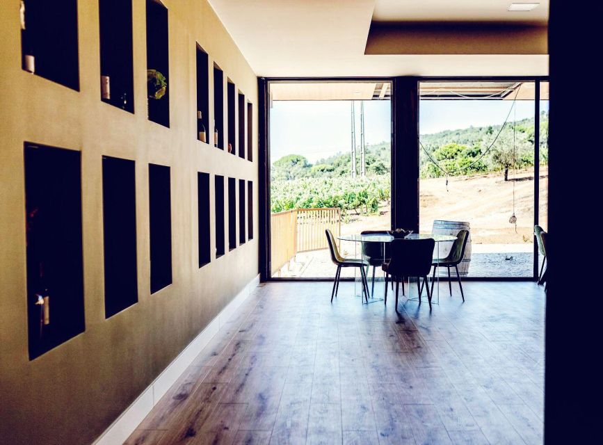 Private Lisbon Arrábida Wine Tour: Culture, Scenery & Wines - The Wine Stops: Two Premium Cellars and Smart Question Time