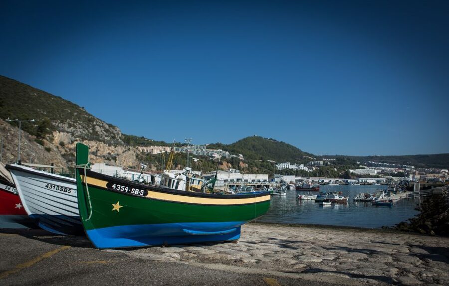 Private Lisbon Arrábida Wine Tour: Culture, Scenery & Wines - Tastings, Pairings, and the Food-Wine Logic