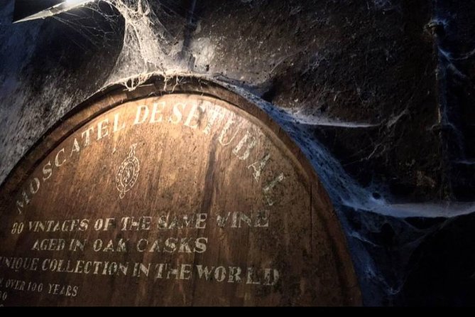 Private Lisbon Arrabida Wine Tour: Food & Wines, Mountain and Sea - Why Arrábida makes a great day trip from Lisbon