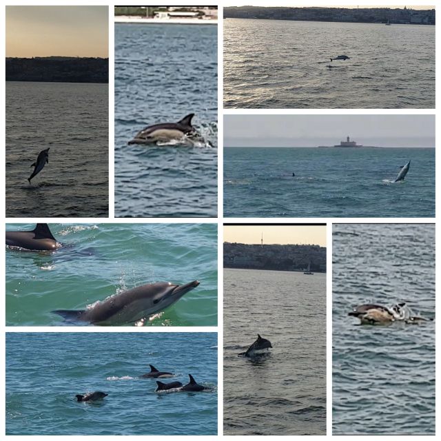 Private Lisbon Sightseeing Sailing Boat Tour with Locals - Why private sailing beats the crowds for photos (and your mood)
