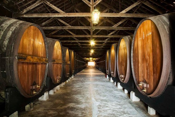 Private Lisbon wine tasting tour in the Setubal region - Why the Lisbon to Setúbal route is a smart way to spend 5 hours