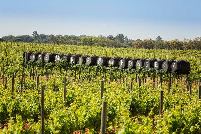Private Lisbon wine tasting tour in the Setubal region - Food planning: what lunch not included means for you