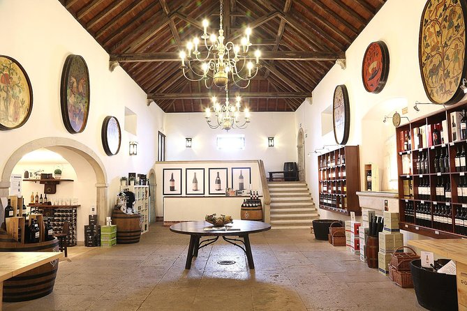 Private Lisbon wine tasting tour in the Setubal region - Stop 1: José Maria da Fonseca wine cellars and tastings