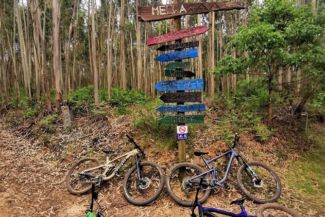 Private mountain bike tour in Lisbon/Sintra/Cascais - Av. Dr. Brandão de Vasconcelos 2 at 9:00: your day starts with a real bike check