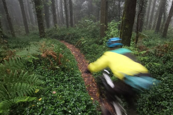 Private mountain bike tour in Lisbon/Sintra/Cascais - Bikes, protection gear, and insurance: the practical safety layer