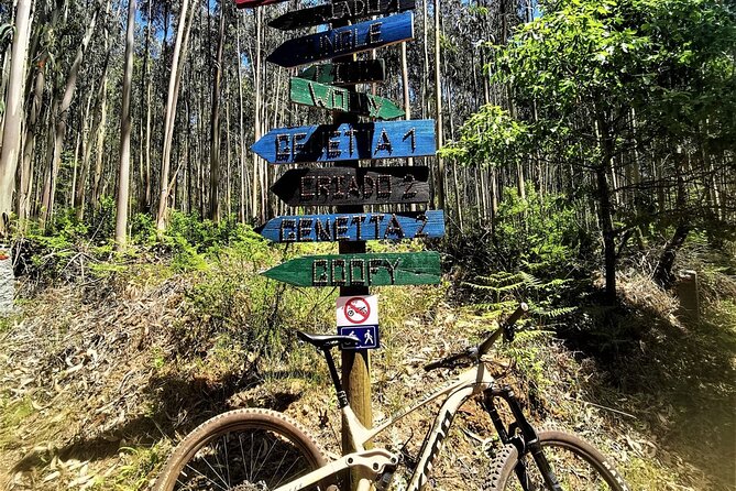 Private mountain bike tour in Lisbon/Sintra/Cascais - Price and value: what $168.58 per person is buying