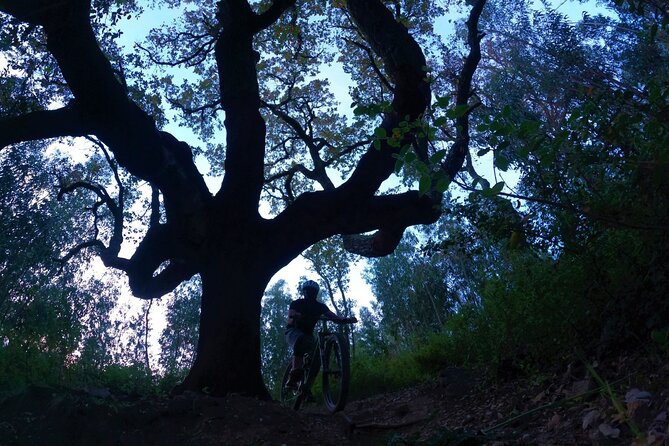 Private mountain bike tour in Lisbon/Sintra/Cascais - Warm-up skills games: why you should show up ready