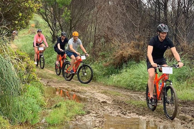 Private Mountain Biking Adventure in Sintra Cascais Park - Guide-led rhythm and photo moments: why the experience sticks