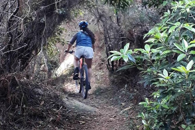 Private Mountain Biking Adventure in Sintra Cascais Park - Combine it with Cascais: make the day feel complete