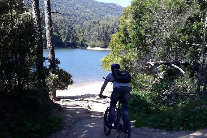 Private Mountain Biking Adventure in Sintra Cascais Park - Who should book this private mountain bike adventure—and who might rethink it