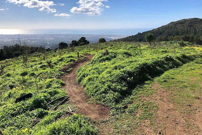 Private Mountain Biking Adventure in Sintra Cascais Park - Before you go: what to bring (and what you can skip)
