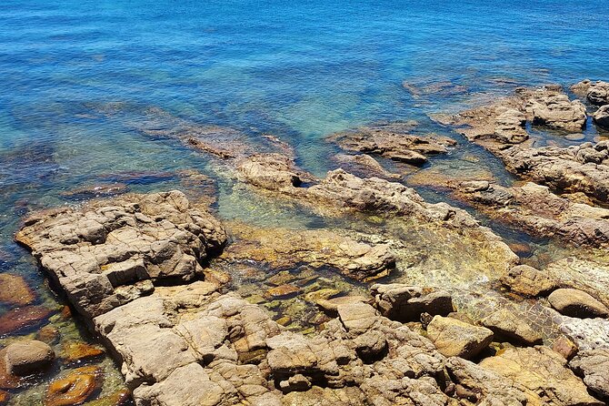 Private Open Top Coastal Tour with Coffee Included - Key highlights you’ll feel right away