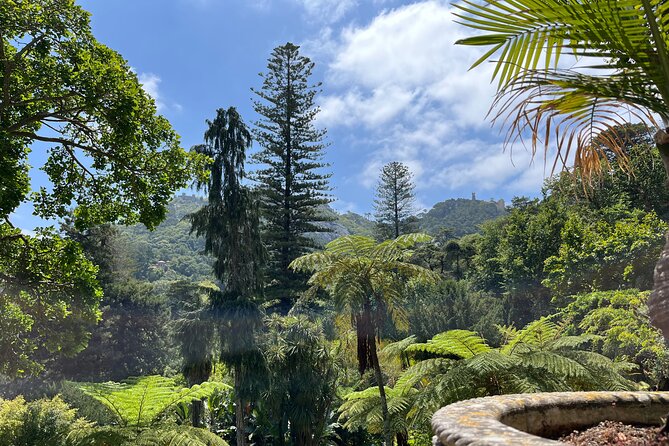 Private: Quinta da Regaleira & Sintra Historic Center Guided Tour - The Initiation Well: The Most Memorable Part (If You Let It Be)