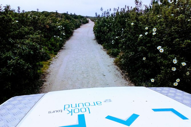 Private Safari Tour to Espichel Cape & West Coast Wild Beaches - Cabo Espichel: pilgrimage sanctuary, dinosaur footprints, and jeep viewpoints