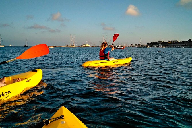 Private Sea Kayaking in Cascais, Lisbon - What you’re actually paddling: sit-on-top kayak comfort and control