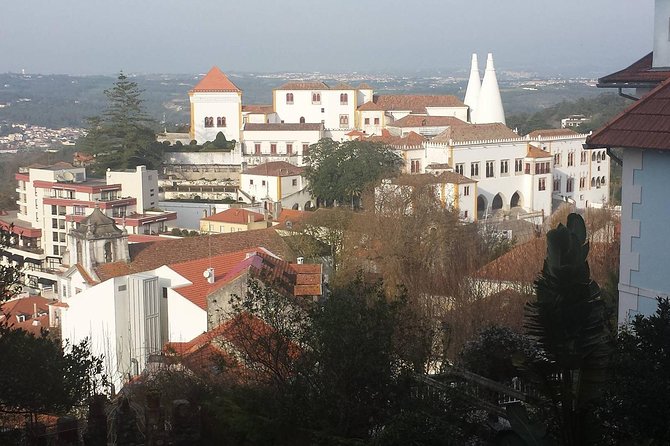 Private Sintra Day Trip from Lisbon with Wine Tasting and Monserrate Palace - A Quick Dune Beach Stop on the Return