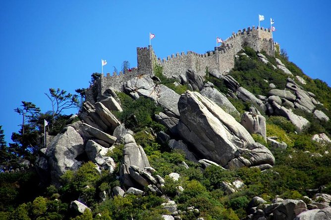 Private Sintra, Pena Palace, Cabo da Roca and Cascais Full Day - Monserrate Palace and the cork tree moment