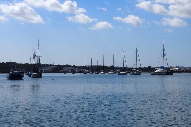 Private Tour 6 hours by Boat on the Tagus - Why This Private Tagus Boat Tour Feels Different